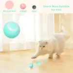 Smart Cat Interactive Ball Toys U01