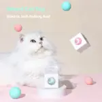 Smart Cat Interactive Ball Toys U01