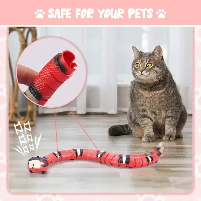 Pet-safe material