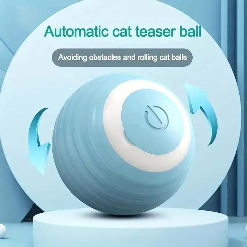 Cat enjoying toy